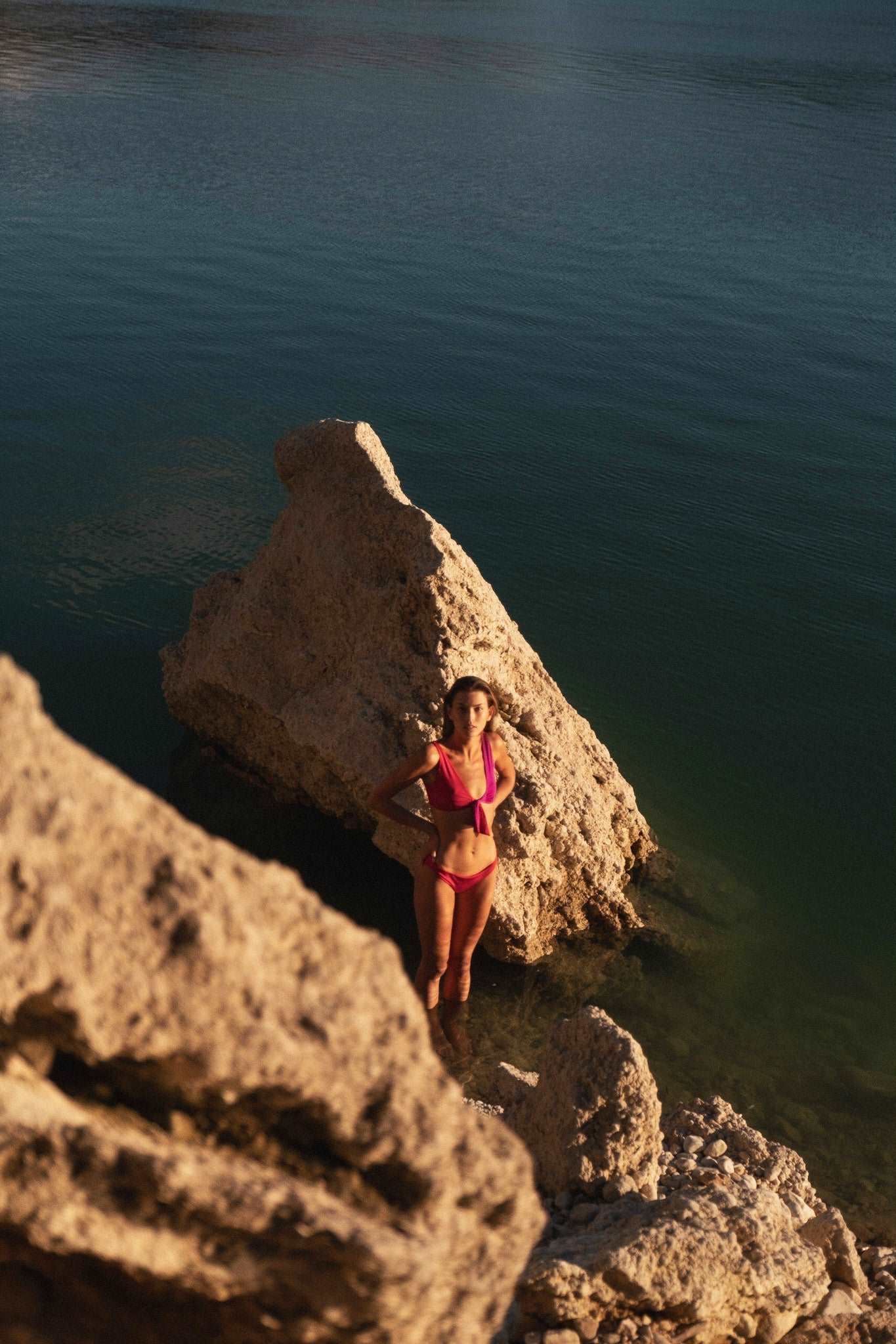 The Bow-Tie Top 〜 Colourblock Talia Collins