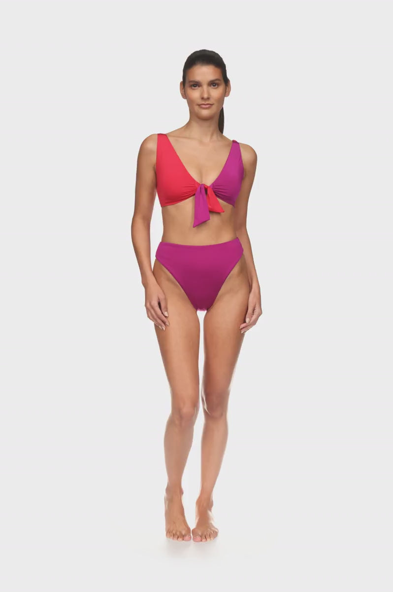 The High Waisted High-Cut Brief